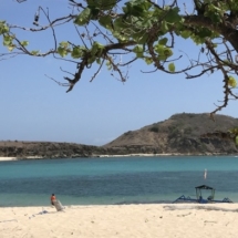 lombok diving