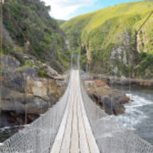 shutterstock_150953804-250x150