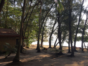 Wisata Pulau Sepa