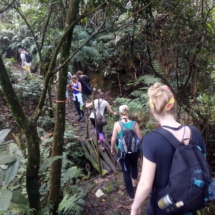 05 jungle trekking in tropical rain forest