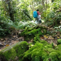 Volcano Jungle Trekking Bogor