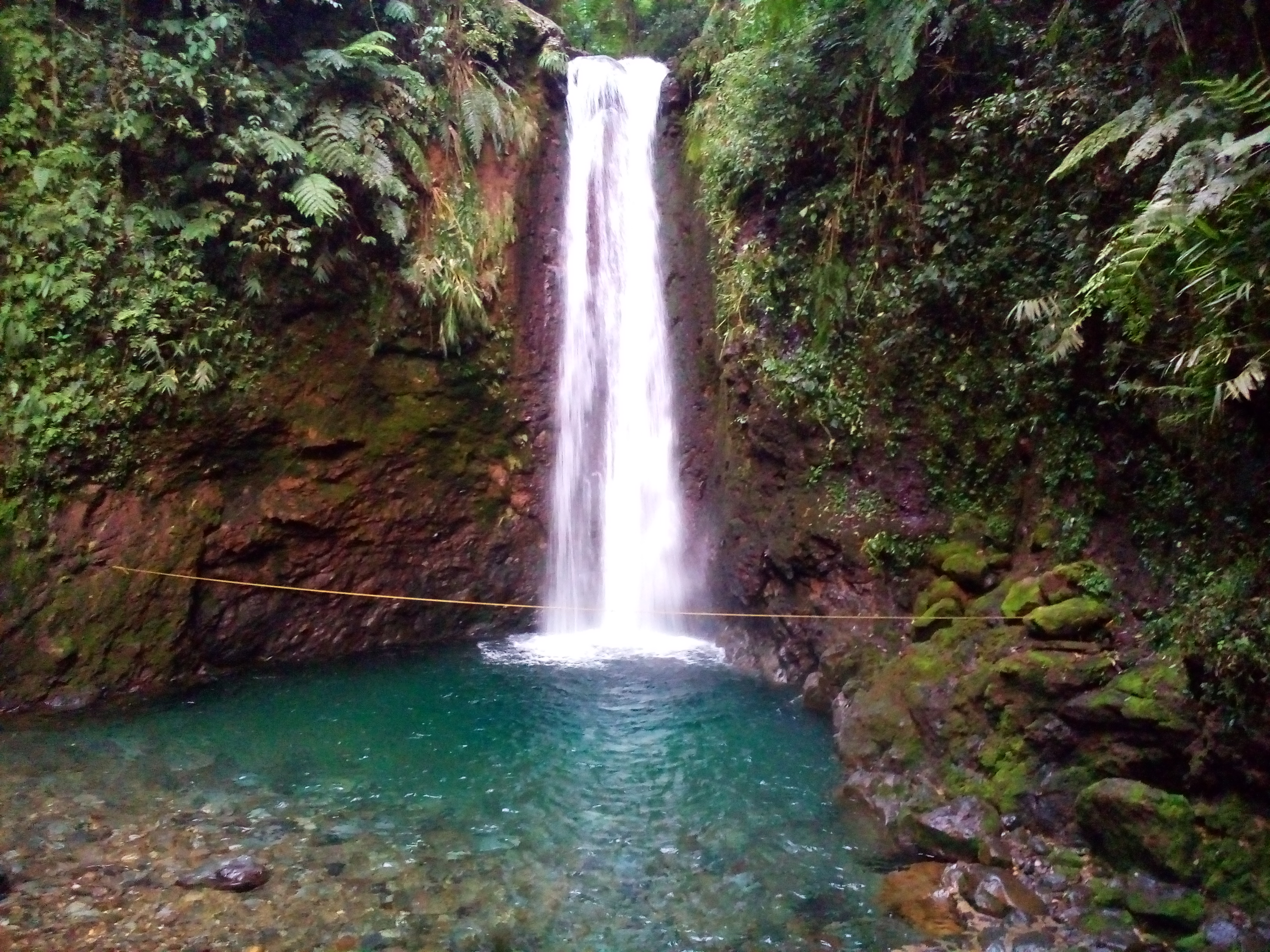 Volcano Jungle Trekking Bogor